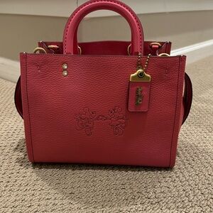 Rogue 25 Disney in Watermelon